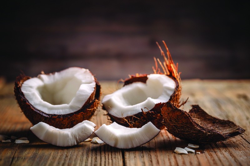 kokos_echoes_subrina_professional