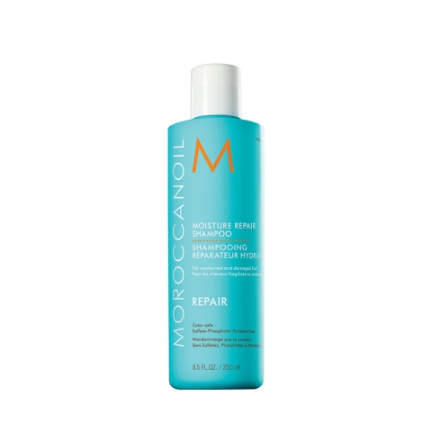 Moroccanoil Moisture Repair Shampoo (14)