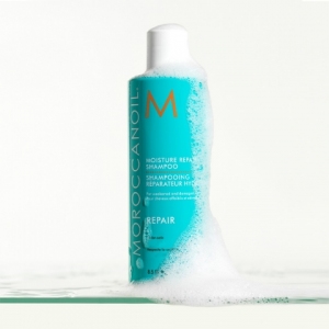 Moroccanoil Moisture Repair Shampoo (14)