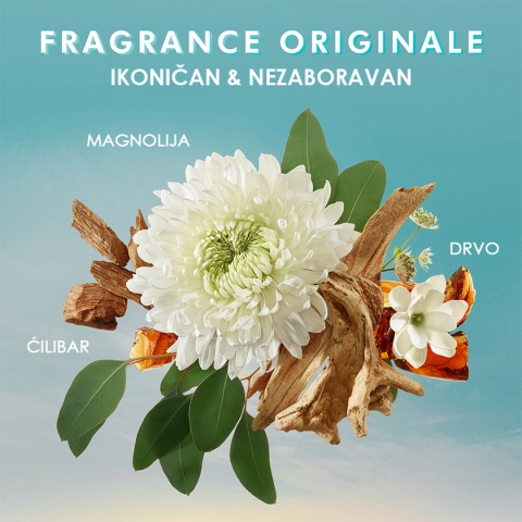 Moroccanoil mirs original